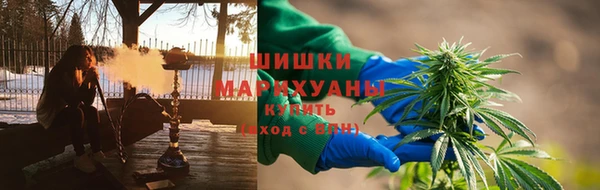 сатива Дмитровск