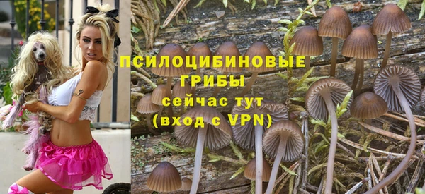 сатива Дмитровск
